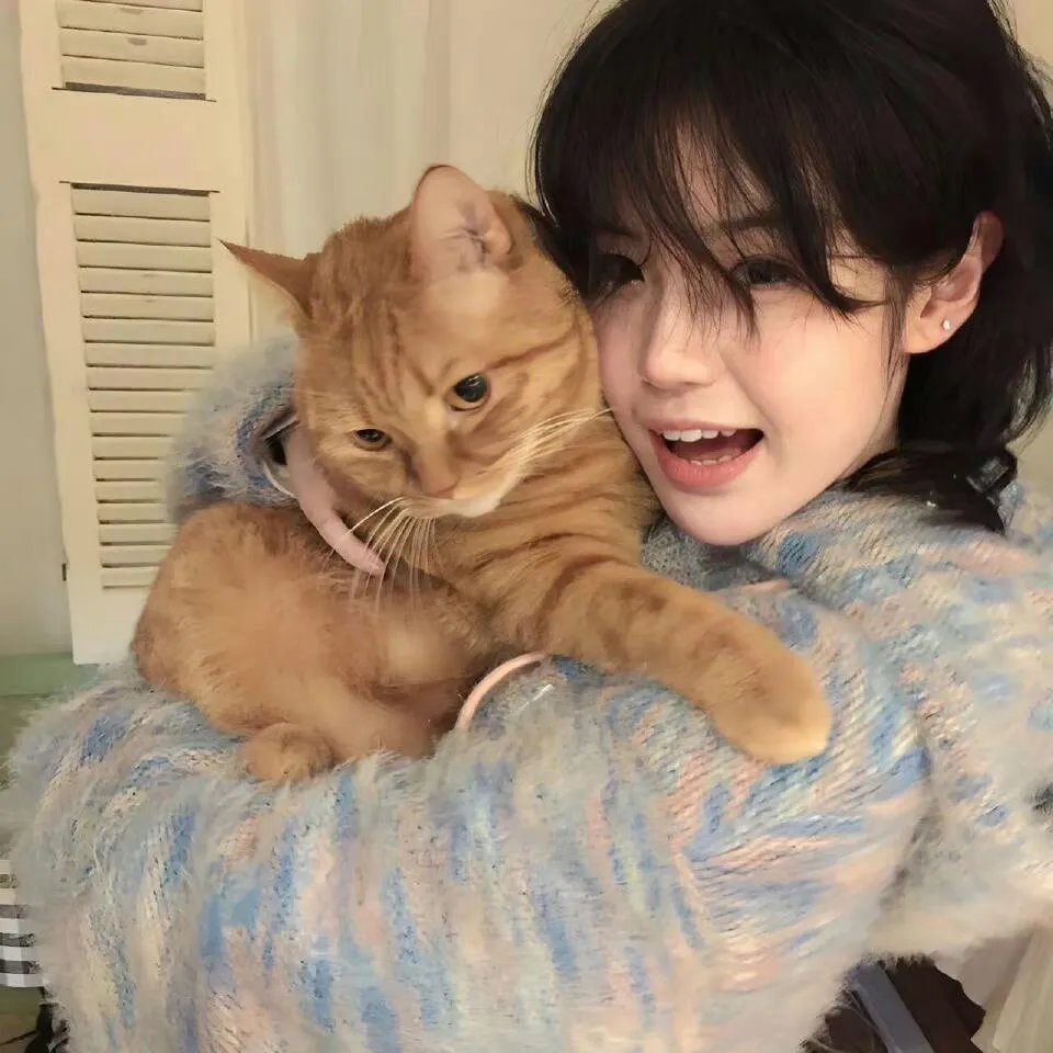 小刺猬与魔法石